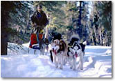Excursion - The Real Alaska Tour